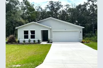 35 Bay Court Pass, Ocklawaha, FL 32179 - Photo 1