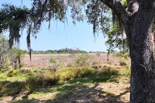 Amber Bell Trail, Lake Placid, FL 33852 - Photo 15