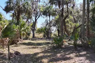 Amber Bell Trail, Lake Placid, FL 33852 - Photo 11