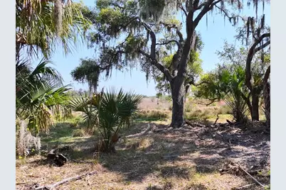 Amber Bell Trail, Lake Placid, FL 33852 - Photo 13