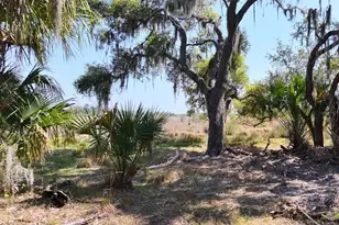 Amber Bell Trail, Lake Placid, FL 33852 - Photo 13