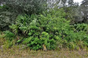 Brewster Lot #8 Rd, North Port, FL 34288 - Photo 1