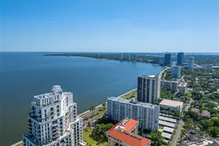 2401 Bayshore Blvd, Tampa, FL 33629 - Photo 53