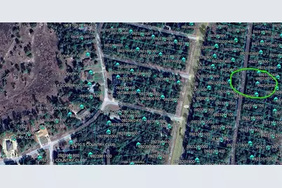 Tbd NE 154 Avenue, Williston, FL 32696 - Photo 5