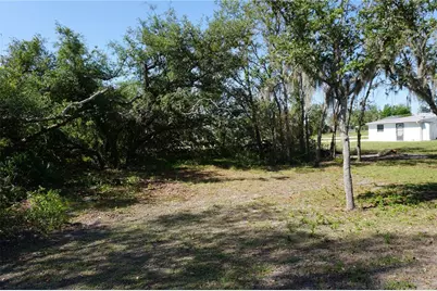 29211 Picador Street, Punta Gorda, FL 33982 - Photo 67