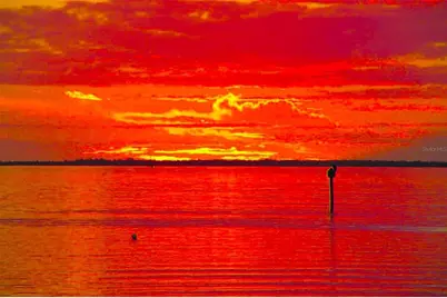 303 11th Avenue E, Palmetto, FL 34221 - Photo 59