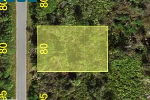 2176 Belvoir St, Port Charlotte, FL 33953 - Photo 1