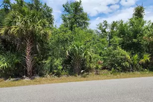 Lot 25 Lanai Ave, North Port, FL 34288 - Photo 1