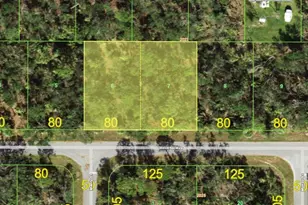 14140 Slichter Ave, Port Charlotte, FL 33953 - Photo 1