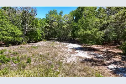 34281 Umbrella Rock Drive, Webster, FL 33597 - Photo 9