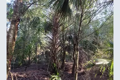 1901 Graham Road, Punta Gorda, FL 33982 - Photo 15