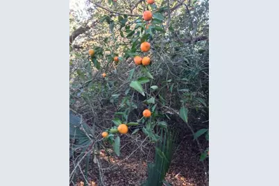 1901 Graham Road, Punta Gorda, FL 33982 - Photo 11