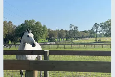 1500 SW 210th Avenue #BARN, Dunnellon, FL 34431 - Photo 17