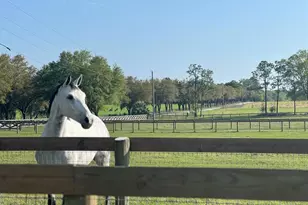 1500 SW 210th Ave, Dunnellon, FL 34431 - Photo 17