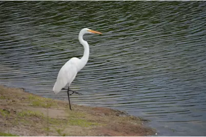 4056 Oakview Drive #E10, Port Charlotte, FL 33980 - Photo 23