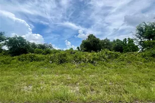 12322 Albrecht Terrace, Port Charlotte, FL 33981 - Photo 1