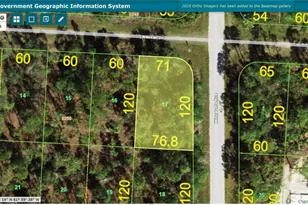 27381 Nassau Dr, Punta Gorda, FL 33955 - Photo 1