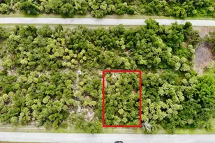 3144 Mathew St, Port Charlotte, FL 33948 - Photo 1