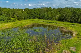 2593 NW Genes Little Acres Ave, Arcadia, FL 34266 - Photo 15