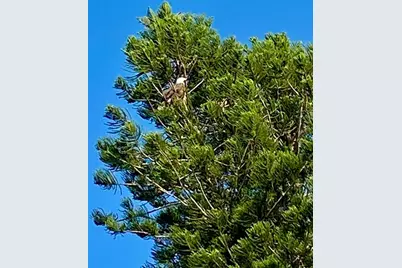 24398 Treasure Island Boulevard, Punta Gorda, FL 33955 - Photo 43