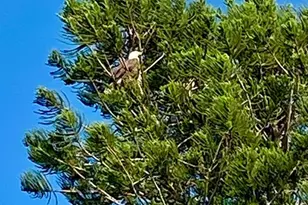 24398 Treasure Island Blvd, Punta Gorda, FL 33955 - Photo 43