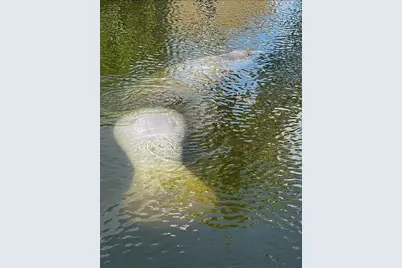 24398 Treasure Island Boulevard, Punta Gorda, FL 33955 - Photo 45