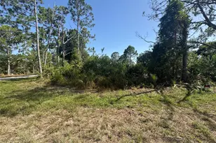 12231 Gerrity Ave, Port Charlotte, FL 33981 - Photo 1