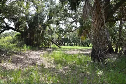 0 SE Highway 31, Arcadia, FL 34266 - Photo 35