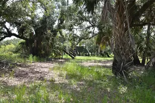 0 SE Hwy 31, Arcadia, FL 34266 - Photo 35