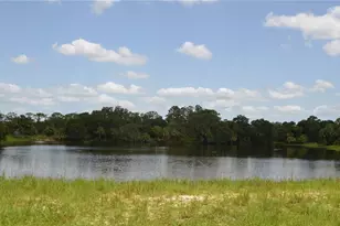 0 SE Hwy 31, Arcadia, FL 34266 - Photo 27