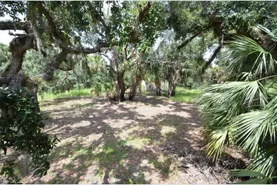 0 SE Highway 31, Arcadia, FL 34266 - Photo 35