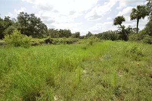 0 SE Hwy 31, Arcadia, FL 34266 - Photo 33