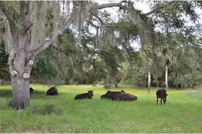 0 SE Highway 31, Arcadia, FL 34266 - Photo 29