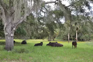 0 SE Hwy 31, Arcadia, FL 34266 - Photo 29