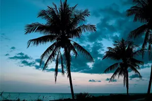 915 Beach Rd, Siesta Key, FL 34242 - Photo 85