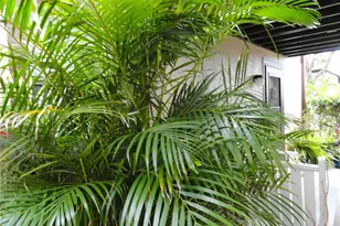 4022 Beaver Ln, Port Charlotte, FL 33952 - Photo 13