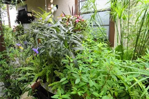 4022 Beaver Ln, Port Charlotte, FL 33952 - Photo 9