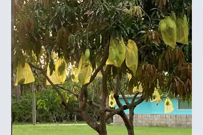 232 Darst Avenue, Punta Gorda, FL 33950 - Photo 93