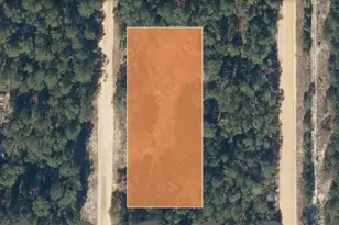 1118 Selma Ave, Interlachen, FL 32148 - Photo 1