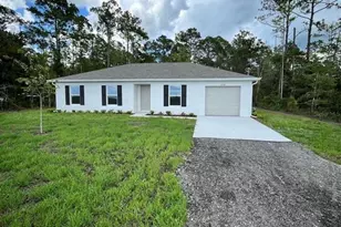 10330 Isaacson Ave, Hastings, FL 32145 - Photo 1