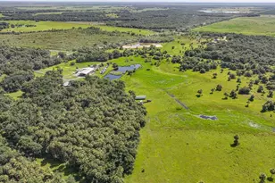 43451 & 43631 Farabee Rd, Punta Gorda, FL 33982 - Photo 71