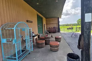 43451 & 43631 Farabee Rd, Punta Gorda, FL 33982 - Photo 35