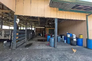 43451 & 43631 Farabee Rd, Punta Gorda, FL 33982 - Photo 39