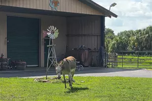 43451 & 43631 Farabee Rd, Punta Gorda, FL 33982 - Photo 33