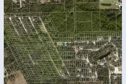 711 Hickory Nut Trail, Satsuma, FL 32189 - Photo 3