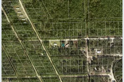 711 Hickory Nut Trail, Satsuma, FL 32189 - Photo 1