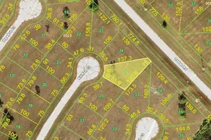 12242 Killfish Ct, Placida, FL 33946 - Photo 1