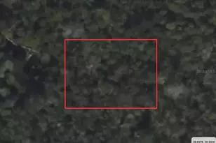 Riegel (Paper) Ave, Orange City, FL 32763 - Photo 1