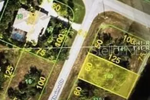 143 Thelma Dr, Rotonda West, FL 33947 - Photo 1