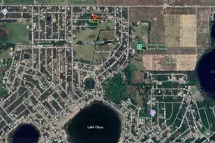 2621 London Rd, Avon Park, FL 33825 - Photo 3